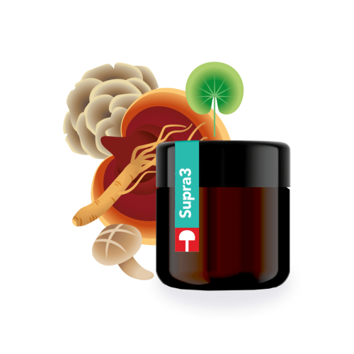 Supra3 - Odporność